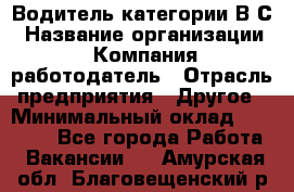 Водитель категории В.С › Название организации ­ Компания-работодатель › Отрасль предприятия ­ Другое › Минимальный оклад ­ 25 000 - Все города Работа » Вакансии   . Амурская обл.,Благовещенский р-н